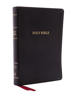 Holy Bible — book cover
